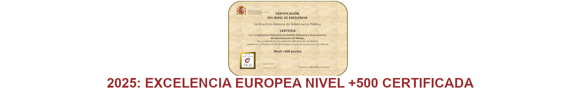 Certificado Nivel Excelencia  500